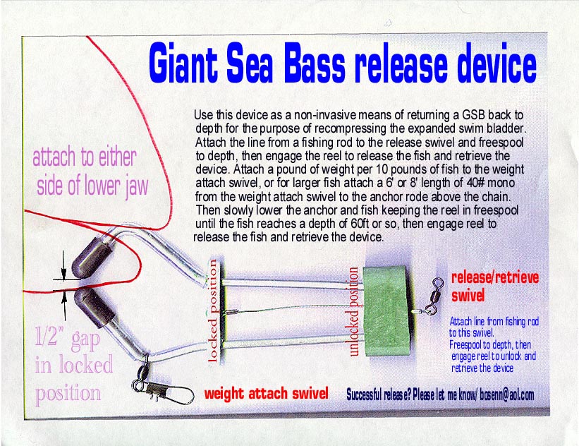 Giant Sea Bass Release Device